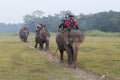 Tourist on an elephant safari in Chitwan National Park, Nepal Royalty Free Stock Photo