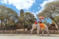 Tourist on elephant sightseeing in Ayutthaya Historical Park, Ayutthaya, Thailand