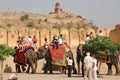 Tourist elephants at Amer palace, Jaipur, India.