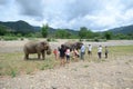 Tourists with elephants