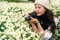Tourist enjoy the view of chrysanthemum field Royalty Free Stock Photo