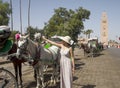 Tourist enjoying the carriages of the Jamaa el Fna square which is the central square of Marrakech, the most important place. Royalty Free Stock Photo