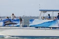 Tourist Enjoying A Cruise Along Trumbo Point Key West Florida