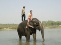 A tourist enjoying elephant bath Royalty Free Stock Photo