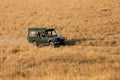 Tourist enjoying game drive on safari Jeep in Masai Mara