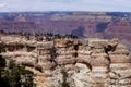 Tourist enjoying the view of the west rim of The Grand Canyon