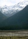 Tourist Enjoying At Yumthang Valley