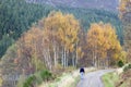 A tourist enjoys the autumn scenery