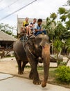 Tourist excursion, show of elephants, to Samui