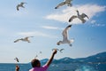 Tourist feeding seagulls Royalty Free Stock Photo