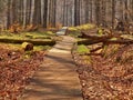 Tourist footpath in autumn forest.