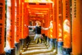 Tourist at Fushimi Inari