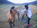 Tourist girl feeding Icelandic horse Royalty Free Stock Photo