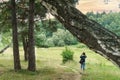 a tourist girl photographs a picturesque forest landscape at sunset Royalty Free Stock Photo