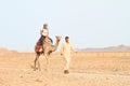 Tourist girl riding a camel