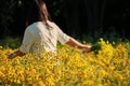 Tourist girl visiting beautiful yellow Chrysanthemum garden field, golden daisy flowers blooming in form, Chiang Mai, Thailand. On