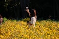Tourist girl visiting beautiful yellow Chrysanthemum garden field, golden daisy flowers blooming in form, Chiang Mai, Thailand. On