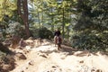 Tourist is going to the Tiger's Nest, Paro, Bhutan Royalty Free Stock Photo