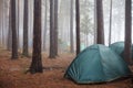 Tourist green tent in the fog in the forest Royalty Free Stock Photo