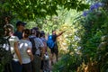 Tourist group hiking along the levadas in Madeira