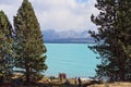 A Tourist Group At Lake Pukaki