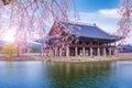 Tourist and gyeongbokgung palace in spring South Korea. Royalty Free Stock Photo