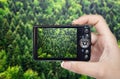 Tourist hand holding camera and taking photograph of green forest