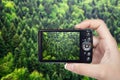 Tourist hand taking photograph of beautiful green forest