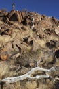 A high viewpoint in Damaraland in Namibia