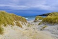 Sandfly Beach near Dunedin, New Zealand