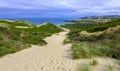 Sandfly Beach near Dunedin, New Zealand