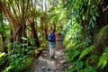 Tourist hiking on Kilauea Iki trail in Volcanoes National Park in Big Island of Hawaii