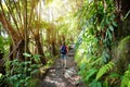 Tourist hiking on Kilauea Iki trail in Volcanoes National Park in Big Island of Hawaii Royalty Free Stock Photo