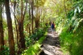 Tourist hiking on Kilauea Iki trail in Volcanoes National Park in Big Island of Hawaii Royalty Free Stock Photo