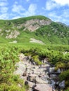 Tourist hiking trail in the Polish Tatra Mountains. Royalty Free Stock Photo