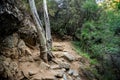 A tourist hiking trek to Caledonia waterfall near Platres, Cyprus