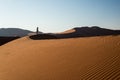 Tourist holding smart phone and taking photo at scenic sand dunes at Sossusvlei, Namib desert, Namib Naukluft National Park Royalty Free Stock Photo