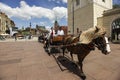 Tourist horse-drawn carriage close to Castle Square in Old town of Warsaw, Poland. June 2012 Royalty Free Stock Photo
