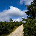 Tourist hostel on Szrenica in the Giant Mountains Royalty Free Stock Photo