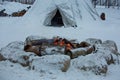 Tourist imitation of the nomadic dwelling of the Karelian Sami. Royalty Free Stock Photo