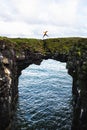 Tourist jumps over a natural rock bridge in Arnarstapi, Iceland Royalty Free Stock Photo
