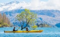 Tourist kayaking pass the iconic lone tree in lake Wanaka the fouth largest lake in New Zealand.