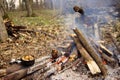 Tourist kettle on camp fire with tent on background. hand with stick about fire.a Royalty Free Stock Photo