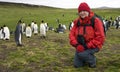 Tourist with King Penguins - Falkland Islands Royalty Free Stock Photo