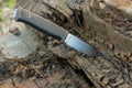 The tourist knife is built into a tree. Side view. Royalty Free Stock Photo