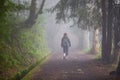 Tourist on levada walk through laurel forest near Ribeiro Frio on misty foggy day