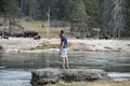 Tourist looking at bison while standing at lakeshore in famous Yellowstone park Royalty Free Stock Photo