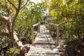 A tourist on the Mangrove boardwalk in Mida Creek in Watamu during the low tide in Malindi, Kenya