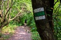 Tourist mark on the tree in Central Europe