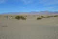 Thanksgiving Tourist at Mesquite Sand Dunes in Death Valley Royalty Free Stock Photo